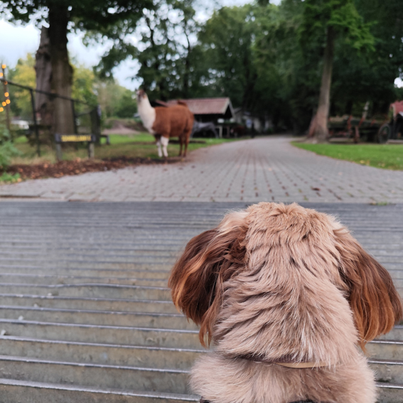 IMG_20240925_190047_20x20