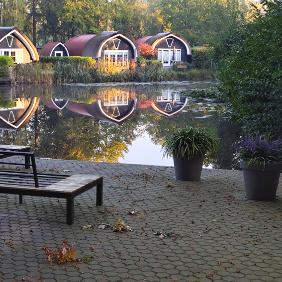 IMG_20241005_083320_20x20